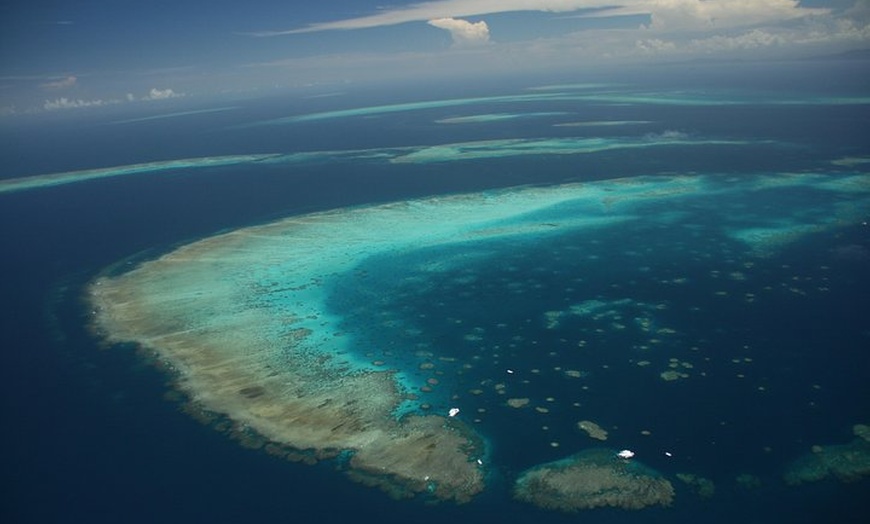 Image 8: Snorkel & Dive the Reef: Sustainable, Scientific & Cultural Tour