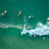 Image 3: Adult Surfing Lessons at Bombora Surf School