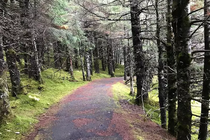 Portage Glacier Cruise and Wildlife Explorer Tour