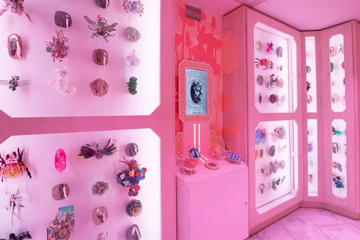The Real Unreal at Meow Wolf Grapevine