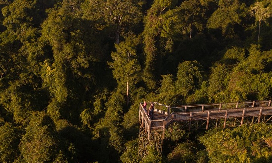 Image 11: Rainforest & Waterfall Experience