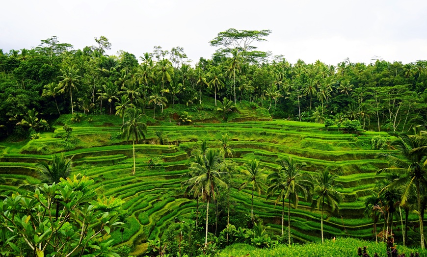 Image 6: ✈ INDONESIEN | Bali & Gili-Inseln - Indonesien von Bali bis Gili Ai...