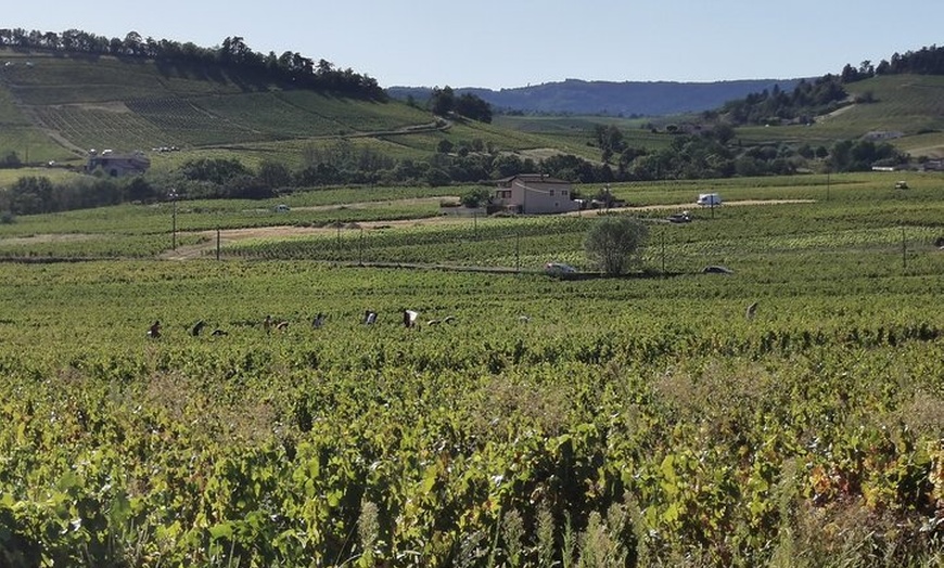 Image 2: Beaujolais demi-journée