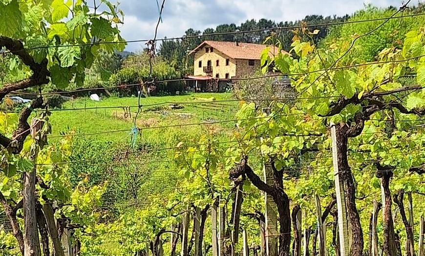 Image 6: Senderismo por el Camino de Santiago desde San Sebastián