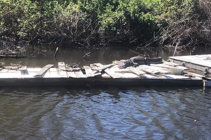 Pontoon Pub Crawl, 5 Lakeside Pubs and Restaurants Visit by Boat