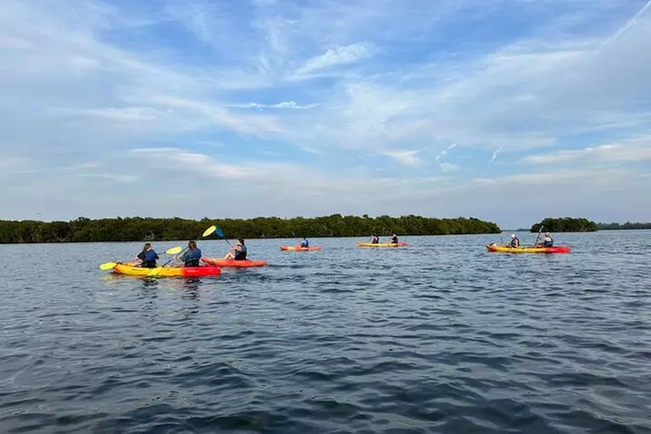 Sunset Kayaking with Dolphins