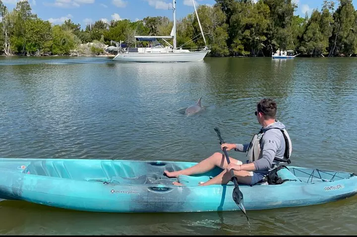 Wildlife Refuge Dolphin, Manatee & Mangrove Kayak or Paddleboarding...