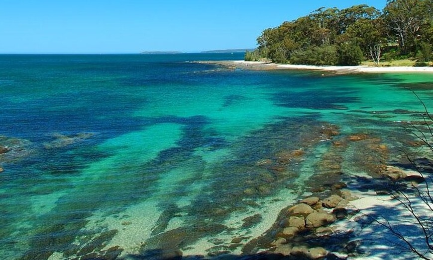 Image 11: Jervis Bay Tour with Dolphins, Kangaroos & World's Whitest Beach
