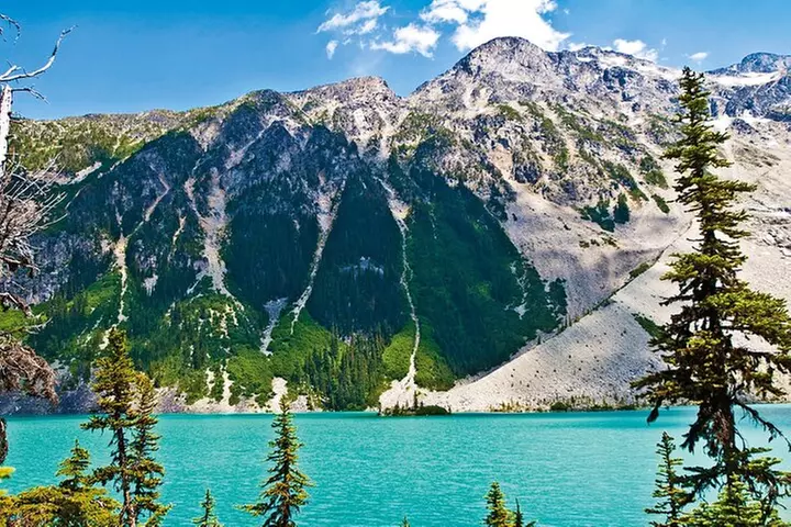 Whistler, Shannon Falls, Sea to Sky Day Trip from Vancouver