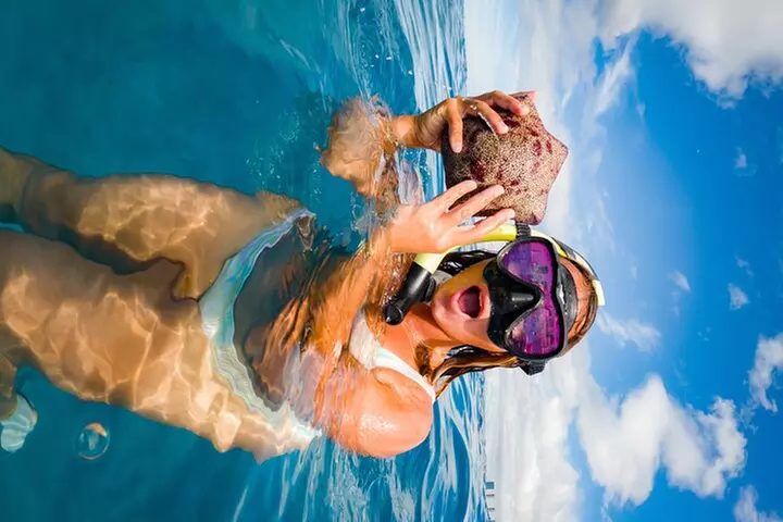 Moana's Waikīkī Grand Guided Turtle Snorkel & Sailing Adventure