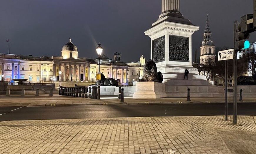 Image 10: Private Tour in London by Night