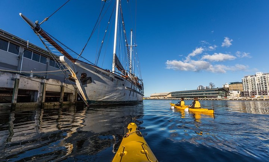 Image 5: Hobart Kayak Tour