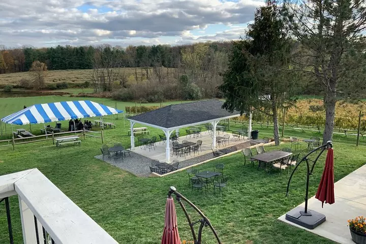 Private Loudoun County Wine Tour from DC with Stops at 3 Wineries