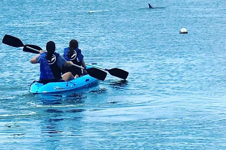 Paddle Board Rental around Harbour Island - Second Medium