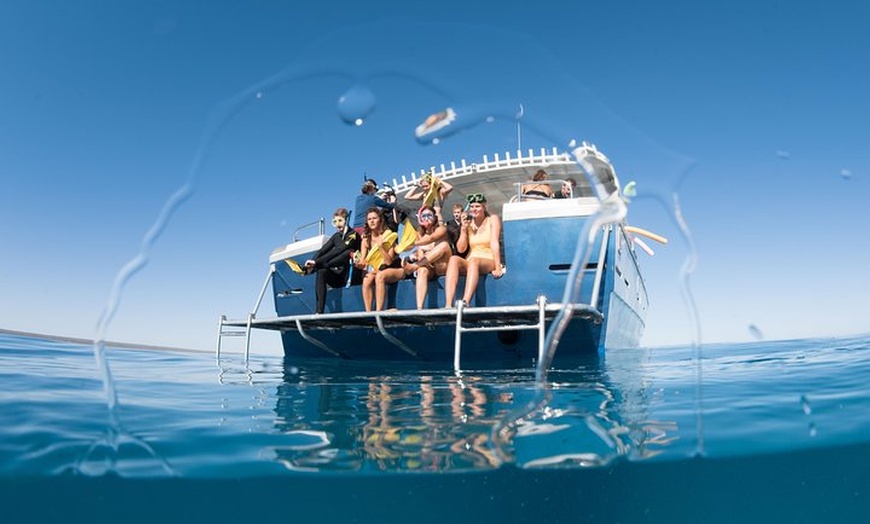 Image 16: Swim with Whale Sharks in the Ningaloo Reef: 3 Island Shark Dive