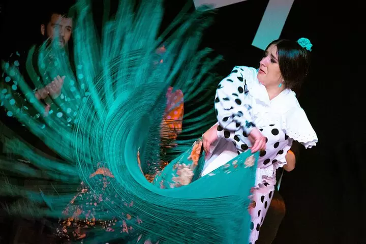 Visita guiada Segovia y Ávila y espectáculo flamenco en Madrid