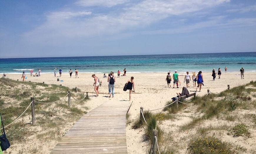 Image 7: Excursión a Formentera desde Ibiza con Transfer y Playas