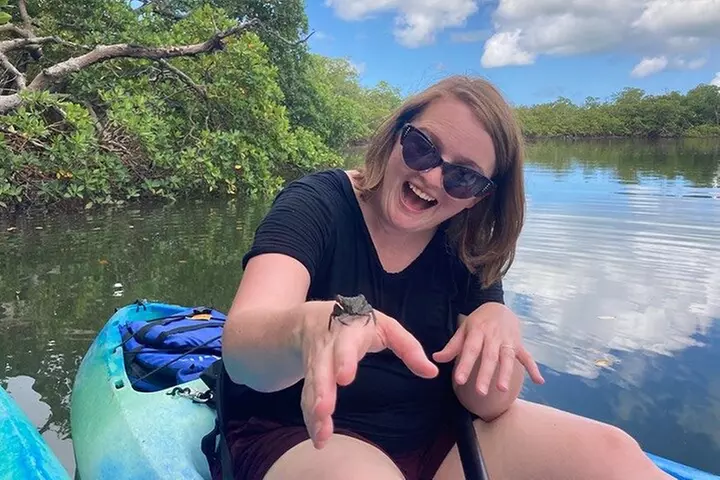 Rookery Bay Kayak Adventure – Mangroves, Wildlife & Photos