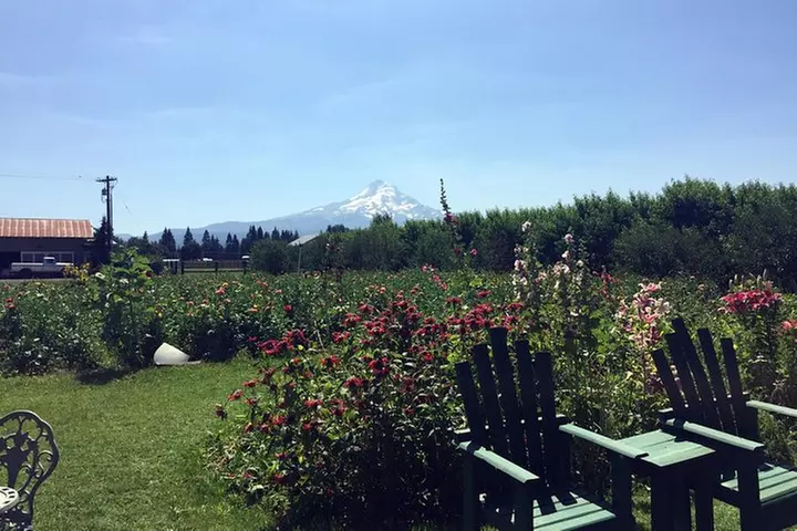 The Hood-Columbia Loop: Timberline, Orchards, and Waterfalls