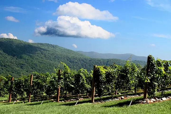Full-Day Wine Country Wine Tastings From Atlanta