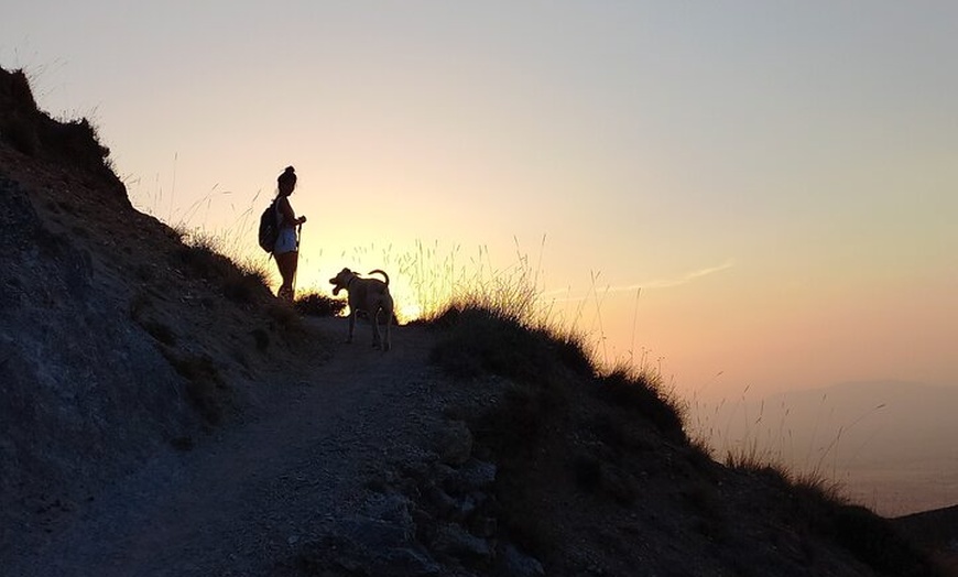 Image 14: NUEVO:Sunset Hike & Summit Sierra Nevada - Tour privado con cachorro
