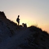 Image 14: NUEVO:Sunset Hike & Summit Sierra Nevada - Tour privado con cachorro