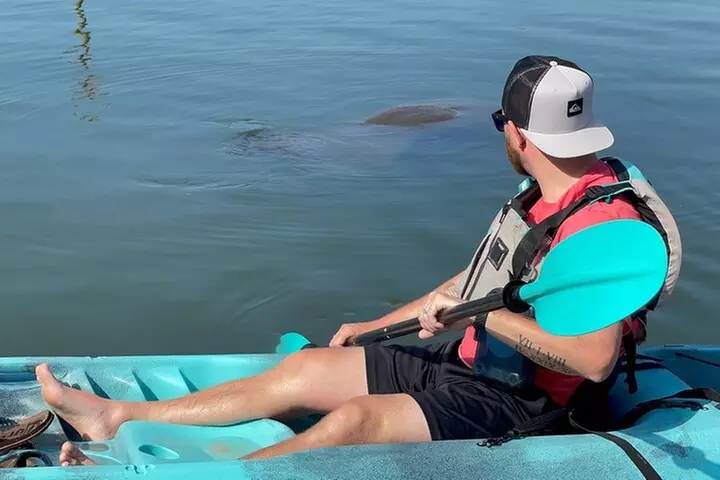 Wildlife Refuge Dolphin, Manatee & Mangrove Kayak or Paddleboarding...