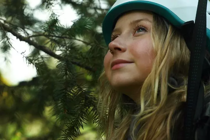 Sunset Tree Climb at Silver Falls State Park