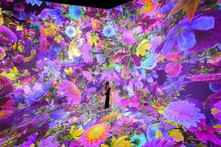 Timeless Butterflies at ARTECHOUSE - Primary Image
