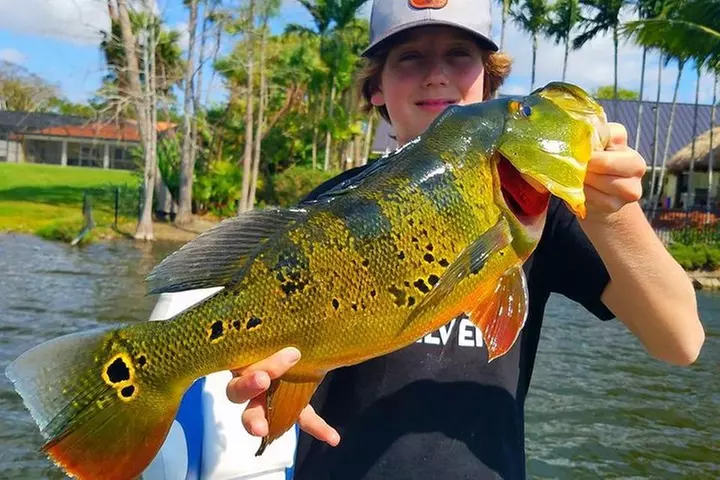 Peacock Bass Fishing Trips Near Miami Florida