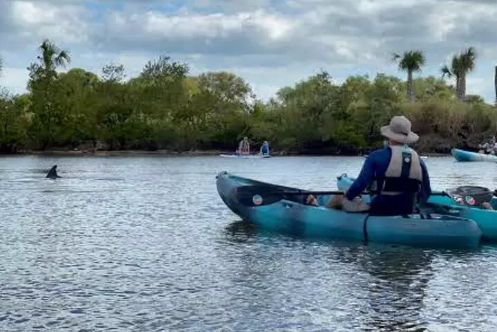 Wildlife Refuge Manatee, Dolphin & Mangrove Kayak or Paddleboarding...