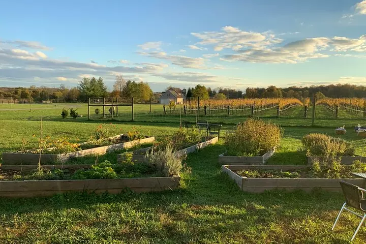 Private Loudoun County Wine Tour from DC with Stops at 3 Wineries