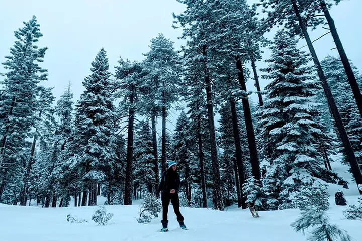 Snowshoe Tour Big Bear Lake with Hot Chocolate
