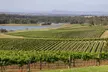 Hunter Valley Wine Tour from Sydney with Lunch and 3 Cellar Door Tastings - Image 5