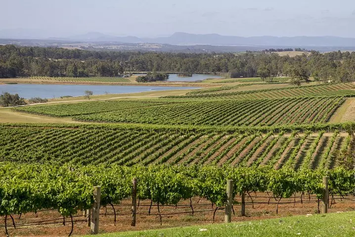 Hunter Valley Wine Tour from Sydney with Lunch and 3 Cellar Door Ta...