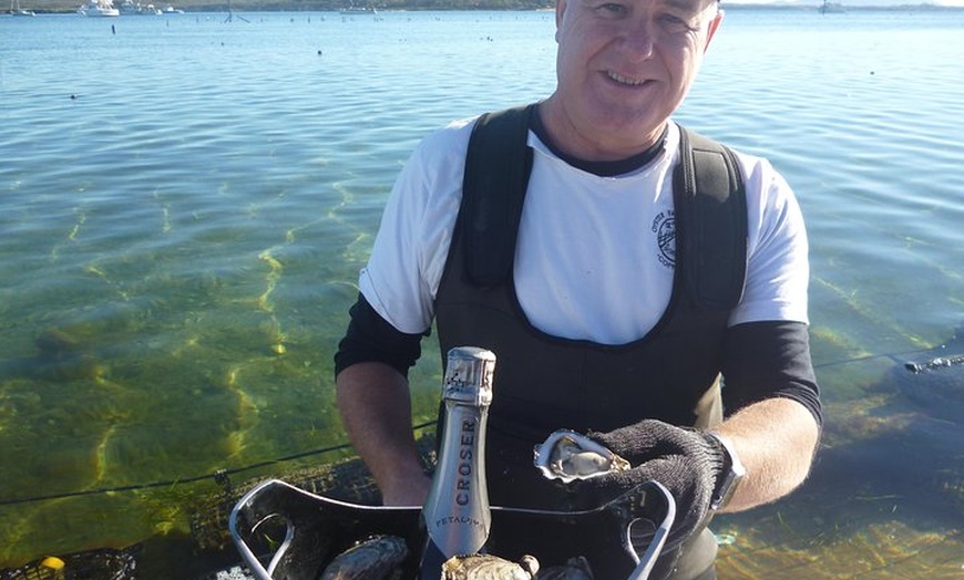 Image 1: Oyster Farm and Tasting Tour with Hotel Pick-up and return from Por...