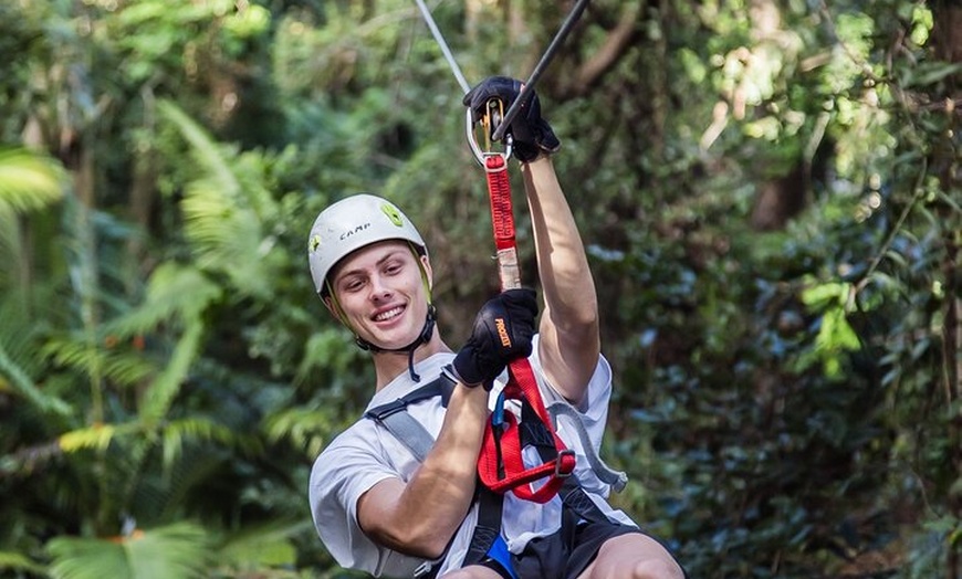 Image 7: Sunshine Coast Adventure Park TreeTop Challenge
