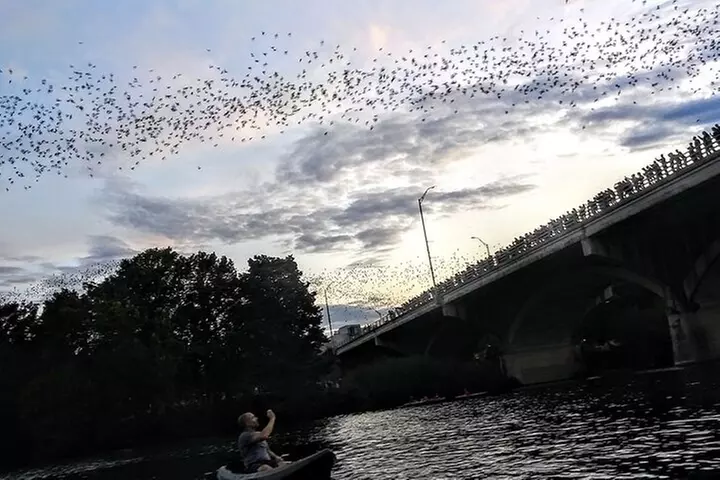 Congress Avenue Bat Bridge Kayak Tour in Austin