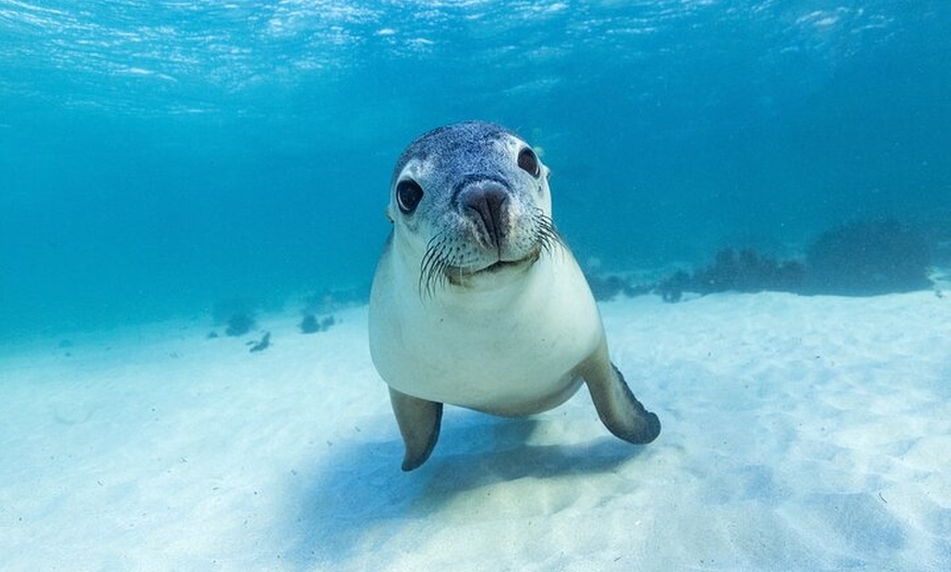 Image 13: Private Pinnacles Desert Tour from Perth
