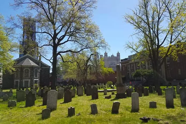 Victorian Flatbush , Brooklyn Private Tour