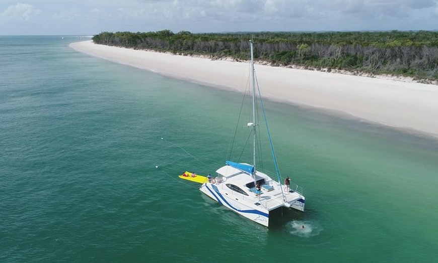 Image 7: Fraser Island & Dolphin Sailing Adventure