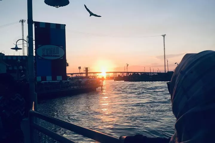 Private Round Trip SUV Transfer Houston - Galveston Cruise Travel