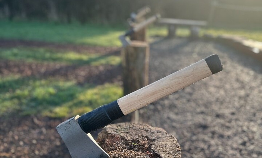 Image 3: The Viking Experience