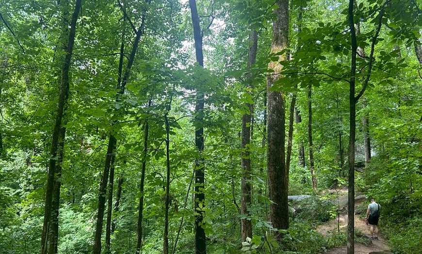 Image 14: Yonah Mountain Hike Private Tour in Georgia