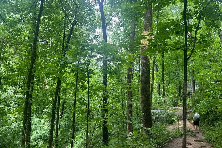 Yonah Mountain Hike Private Tour in Georgia
