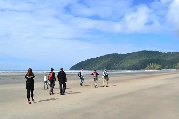 STUNNING San Josef Bay Tour in Cape Scott Provincial Park - Primary Image