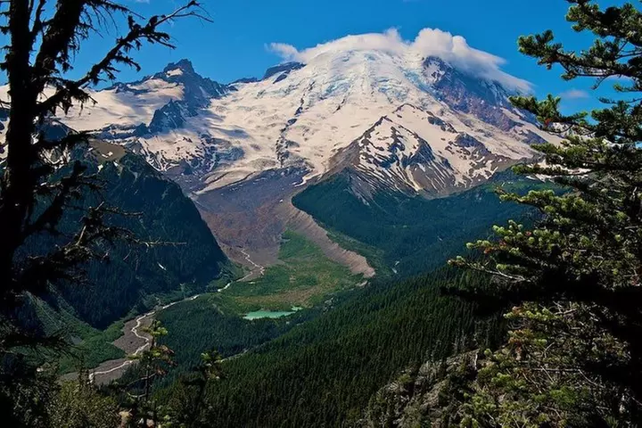 Best of Mount Rainier National Park from Seattle: All-Inclusive Sma...
