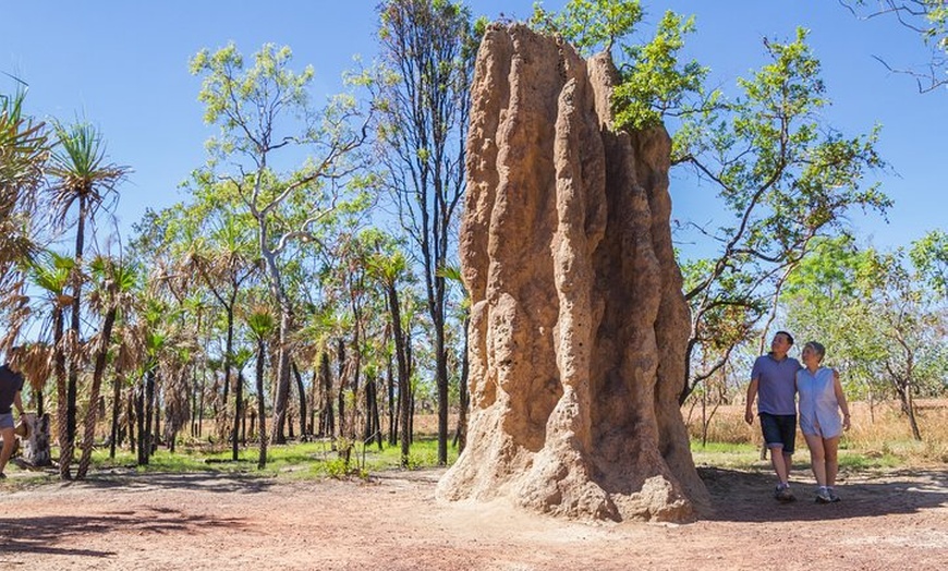 Image 9: Litchfield National Park Day Tour from Darwin