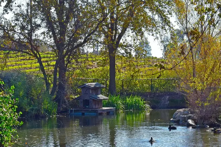 A Highway 49 Drive: A Self-Guided Audio Tour from Placerville to Ja...