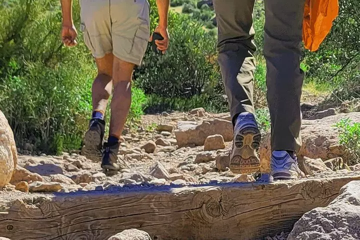 Exclusive: Happy Cactus Tour to Apache Trail & Superstition Mtn